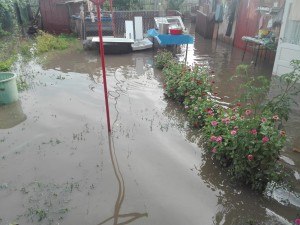 inundatii, neamt, stiri, news,  (2)